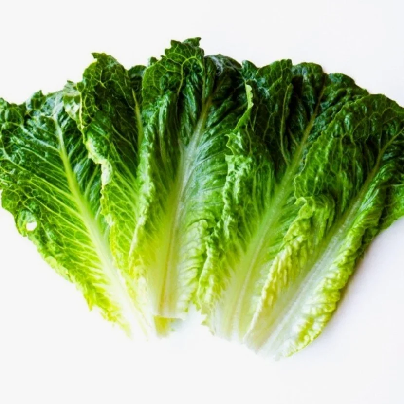 Lettuce in a white dish, from above