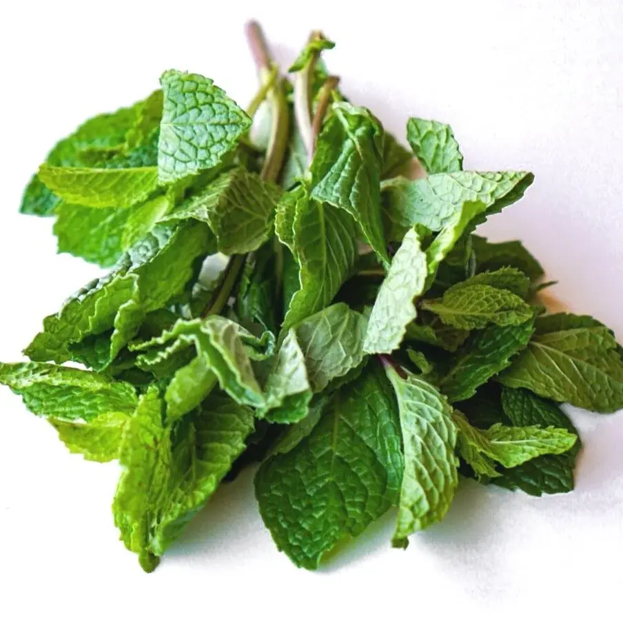 Mint, from above in a white dish